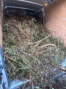 Photo de galerie - Déchets verts 