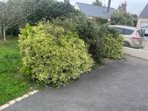 Photo de galerie - Avant 