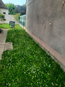 Photo de galerie - Antes y después 