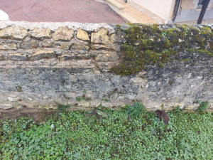 Photo de galerie - Voici une muret traditionnelle que nous avions nettoyé. 
Pression adapté !
