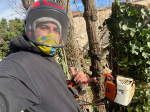 Photo de galerie - élagage 