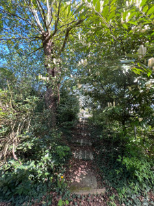 Photo de galerie - Paysagiste - Aménagement du jardin