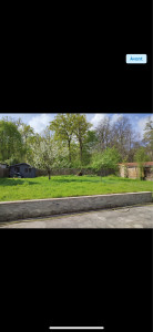 Photo de galerie - Avant débroussaille jardin avec taupe 