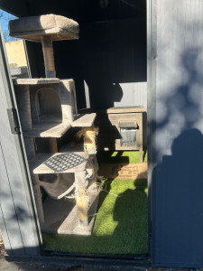 Photo de galerie - Remise en état 