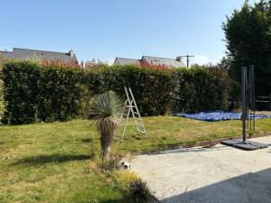 Photo de galerie - Taille de haies et d'arbustes