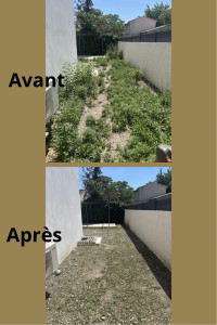 Photo de galerie - Débroussaillage