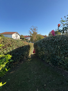 Photo de galerie - Taille 