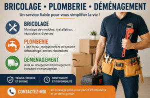Photo de galerie - Pose de parquet - peinture -bricolage -déménagement 