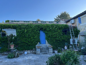 Photo de galerie - Avant rabattage Hedera helix (Lierre) sur une façade 