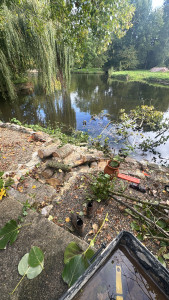 Photo de galerie - Elagage et coupe d'arbres