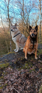 Photo de galerie - Garde à domicile et balade