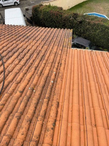 Photo de galerie - Nettoyage Toiture