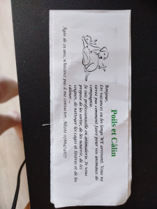 Photo de galerie - Je peux garder vos animaux les weekends et les vacances