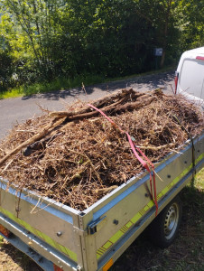 Photo de galerie - Évacuation de vos déchets verts !