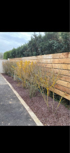 Photo de galerie - Paysagiste - Aménagement du jardin