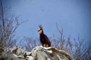 Photo de galerie - Une de mes dernières photos en montagne