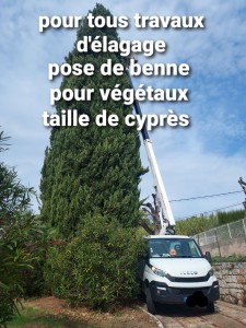 Photo de galerie - Entretien jardin taille de haie élagage abattage d'arbres nettoyage de terrasse travaux avec camion nacelle