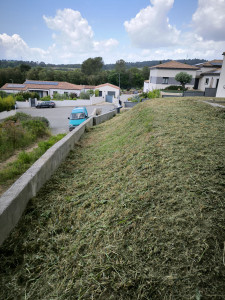 Photo de galerie - Après débroussaillage 