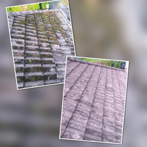 Photo de galerie - Nettoyage et demoussage de toiture sans produits chimiques ni a la javel 