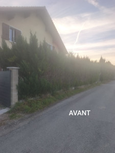Photo de galerie - Arrachage de haies 
