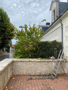 Photo de galerie - Jardinier