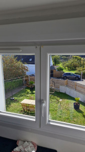 Photo de galerie - Nettoyage de vitres