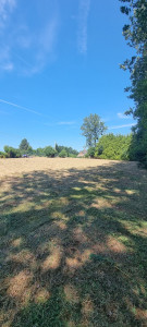 Photo de galerie - Broyage champs 4000m2
