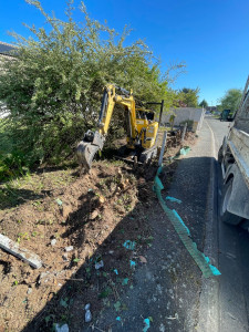 Photo de galerie - Arrachage 