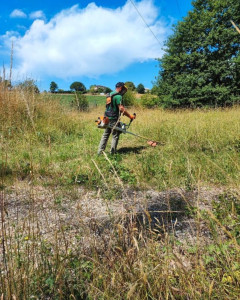 Photo de galerie - Débroussaillage