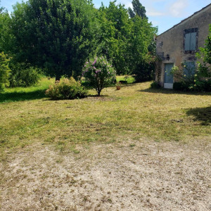Photo de galerie - Entretien espace vert 