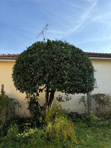 Photo de galerie - Après 