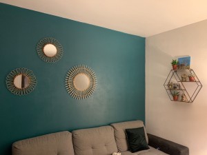 Photo de galerie - Peinture du salon 