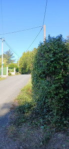 Photo de galerie - Après 