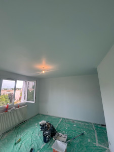 Photo de galerie - Enduit de lissage , peinture 