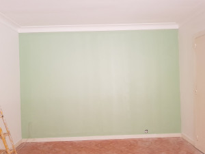 Photo de galerie - Préparations du mur rebouchage des trous et fissures a l'enduit,
Ponçage des enduit et mise en impression,
Application de deux couches de peinture Vert Emeraude