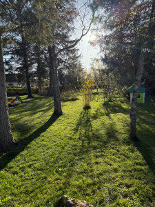 Photo de galerie - Tonte jardin 3500m2 