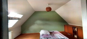 Photo de galerie - Ratissage complet 
Ponçage peinture 