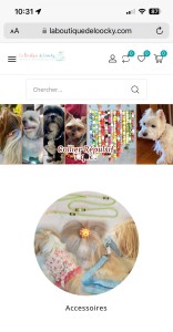 Photo de galerie - Création de site E-Commerce dédiée aux chiens ?, malheureusement la boutique ferme ces portes fin janvier 2023 suite aux augmentations des matières premières 