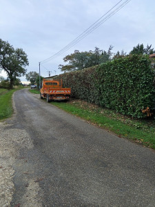 Photo de galerie - Taille de haies et d'arbustes