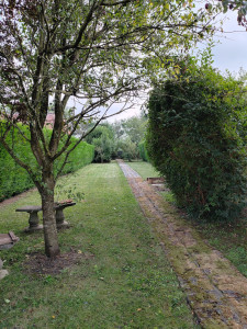 Photo de galerie - Paysagiste - Aménagement du jardin