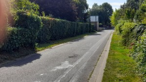 Photo de galerie - Taille de haies et d'arbustes