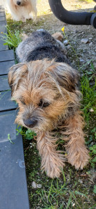 Photo de galerie - Garde
