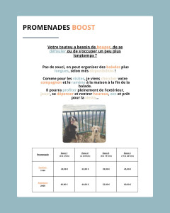Photo de galerie - Promenades boost ?