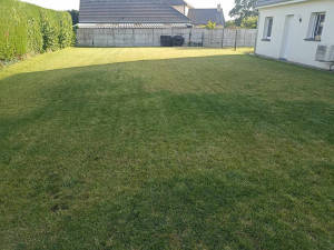 Photo de galerie - Tonte extérieur 