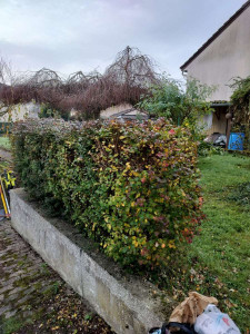 Photo de galerie - Paysagiste - Aménagement du jardin