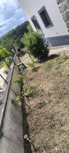 Photo de galerie - Jardinier