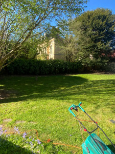 Photo de galerie - Remise en état complète d’un jardin : tonte de pelouse et taille des haies pour un rendu net et soigné. Intervention rapide, travail propre et finitions de qualité. Votre extérieur entretenu comme il se doit.”