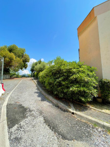 Photo de galerie - Taille de haies et d'arbustes