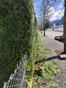 Photo de galerie - Après 