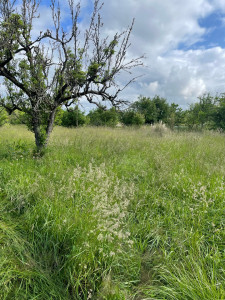 Photo de galerie - Avant